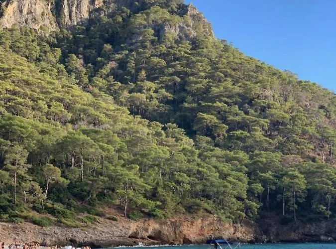 Bamboo With Sea View In Kabak Bay, Oeluedeniz *