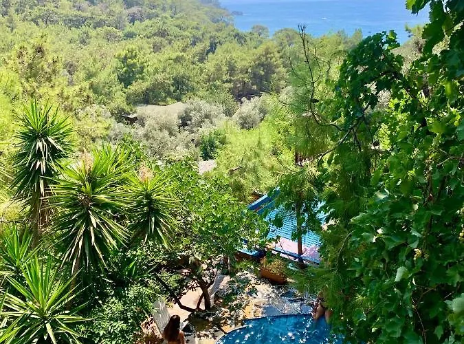 Bamboo With Sea View In Kabak Bay, Oeluedeniz