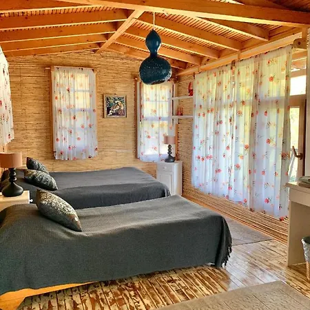 Bamboo With Sea View In Kabak Bay, Oeluedeniz ホテル フェティエ